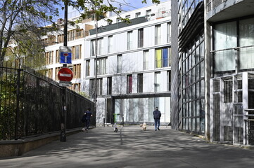 Promeneur et son chien en ville