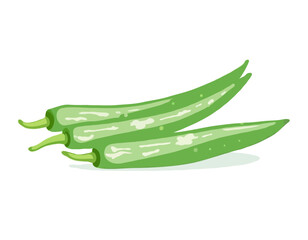 Vector illustration of fresh young Okra, with slices, and green leaves, isolated on white background
