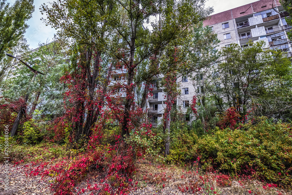 Wall mural Street in Pripyat abandoned city in Chernobyl Exclusion Zone, Ukraine