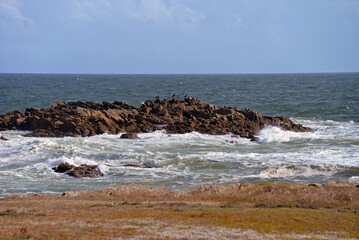Wildes Wasser am Felsen im Atlantik