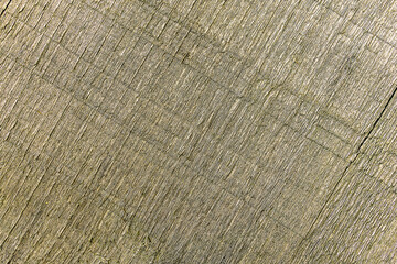 Background with wooden's texture for decorative surface