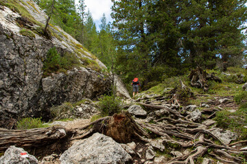 Giro ad anello Sasso Lungo e Sasso Piatto, Trentino Alto Adige - Italia