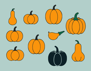 Collection of vector pumpkins and butternuts 
