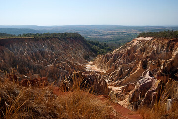 le canyon, Réserve nationale d'Ankarafantsika, Madagascar