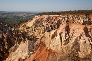 Fototapeta na wymiar le canyon, Réserve nationale d'Ankarafantsika, Madagascar