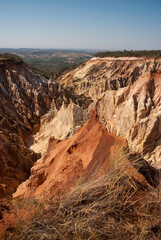 le canyon, Réserve nationale d'Ankarafantsika, Madagascar