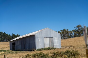 farm shed on a livestock farm. with cows and livestock in a paddock