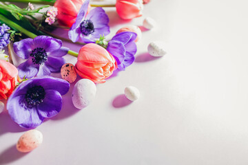 Happy Easter. Easter eggs with spring pink purple flowers flat lay on purple background. Greeting card or banner. Space