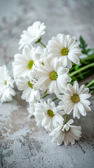 Obraz premium White daisies on a gray stone background, a vertical banner. A bouquet of daisies in close-up, space for text.