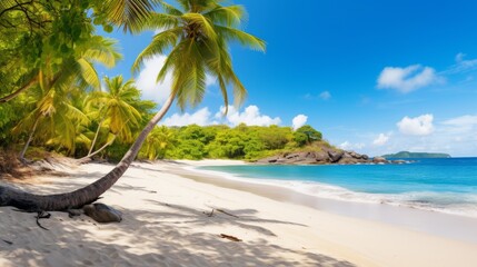 A sandy beach with palm trees swaying for a tropical escape
