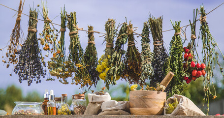 Dried medicinal herbs on the table. Selective focus.