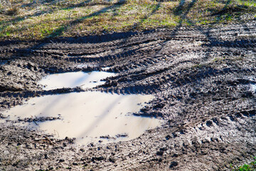 A puddle on a muddy country road with car tracks