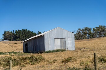 farm shed on a livestock farm. with cows and livestock in a paddock