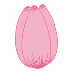 Tulip flower head hand drawn line art illustration. Spring blossom, pink bloom, floral element. Vector design, isolated. Mothers Day, Easter, seasonal, botanical clip art
