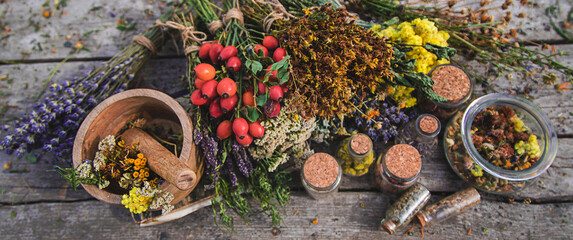 Dried medicinal herbs on the table. Selective focus.