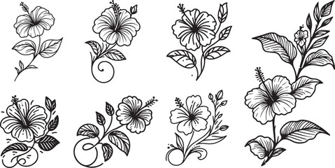 collection of hibiscus flowers, simple line drawings, minimalist doodle style, black vector graphic