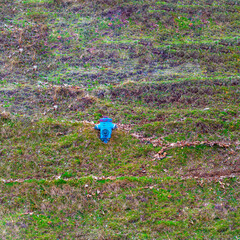 Hydrant on the grass field in the hill. Copy space creative concept. 