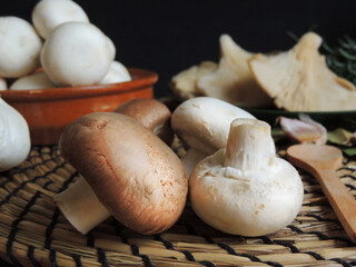 white mushrooms, mushrooms and portobello mushrooms with wooden spoon and earthenware dish on a dark background