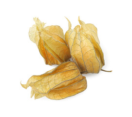 Ripe physalis fruits with calyxes isolated on white, top view
