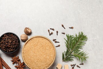 Different spices in bowls, nuts and fir branch on light gray textured table, flat lay. Space for...