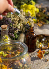 Dried herbs medicinal tinctures extracts in the garden. Selective focus.