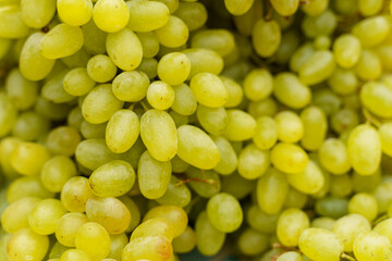 Green grapes on the table, close-up.