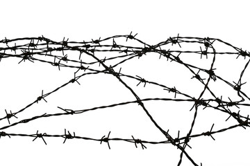 barbed wire isolated transparency background.