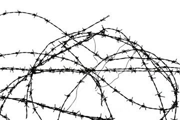 barbed wire isolated transparency background.
