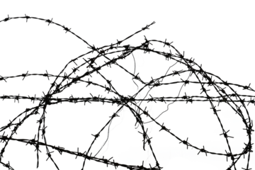 barbed wire isolated transparency background.