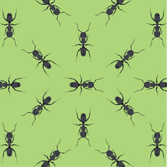 Vector seamless pattern with ant