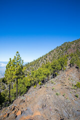 Landscape in Bejenado Peak in Caldera de Taburiente, La Palma, Spain