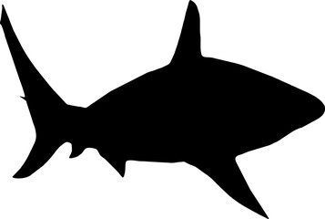 Shark Fish black vector silhouette image - obrazy, fototapety, plakaty