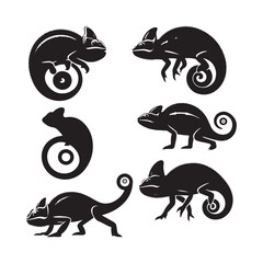 Colorful Camouflage: Vector Chameleon Silhouette, Minimalist Black chameleon Illustration. © Wolfe 