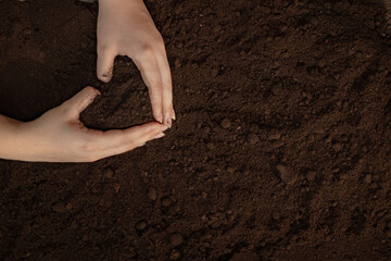 Handful of Rich Brown Soil,