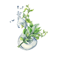 Bush of nettles in water splash. Watercolor illustration of the herbal plant Urticaria dioica. Water wave and green leaf, stinging plant hand drawn. Element for label, packaging cosmetic, apothecary - obrazy, fototapety, plakaty
