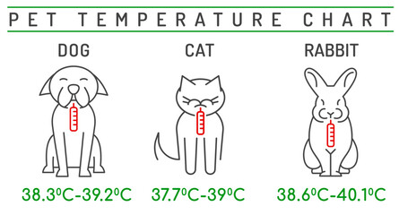 The normal temperature for a pet. Medical infographic.