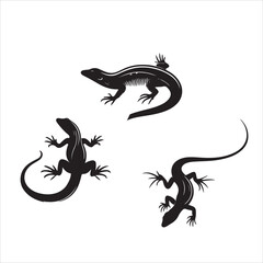 lizard silhouettes