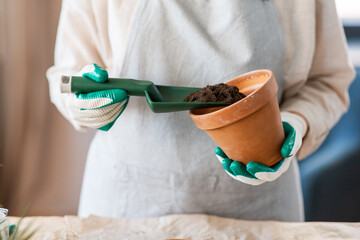 people, gardening and planting concept - close up of woman in gloves with trowel pouring soil to flower pot at home - 755867091