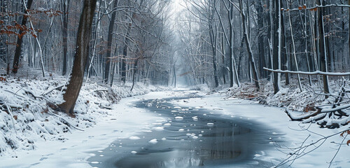 A crisp, high-resolution shot of a quiet, frozen river winding through a snow-blanketed forest, highlighting the serene beauty and contrasting textures of winter