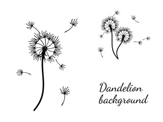 Abstract background dandelion design for decoration design.