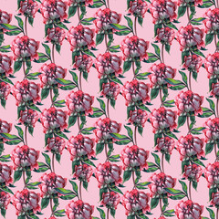 Garden peony. Seamless, hand-painted, watercolor pattern. Floral background - 755870066