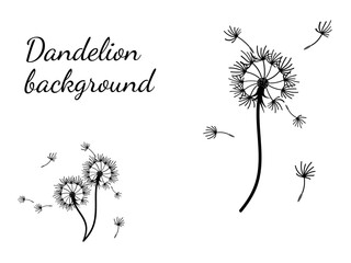 Abstract dandelion background for design. The wind blows dandelion seeds. Template for posters, wallpapers, posters. Vector illustration.