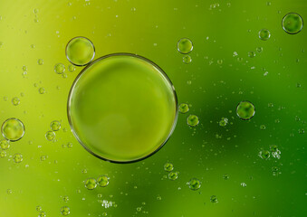 Abstract Oil Bubbles - 755876606