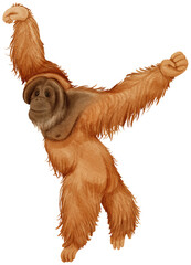 Orangutan wildlife animal watercolor illustration © b.illustrations