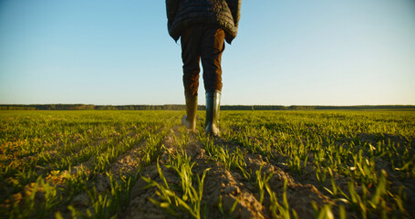 SLOW MOTION: Farmer walks through a young wheat green field. Bottom view of a man walking in rubber boots in a farmer's field, blue sky over horizon. Human walking on agriculture field - 755885021