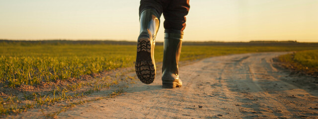 AGRICULTURE. Man farmer in rubber boots walks along a country road near a green field of wheat...