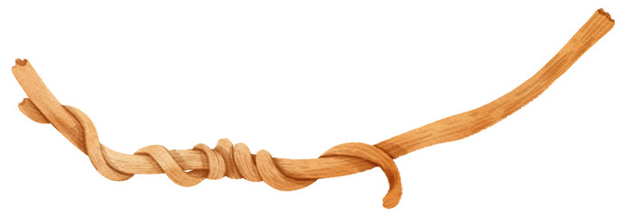 watercolor jungle vine © b.illustrations