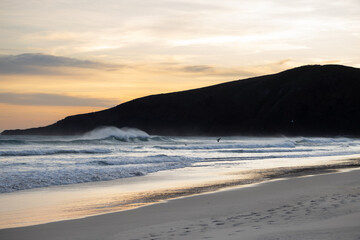 Fototapeta na wymiar sunset at sandfly bay in new zealand in spring with wind and waves