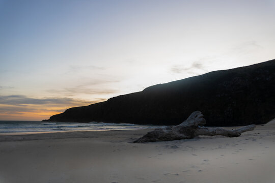 sunset at sandfly bay in new zealand in spring with trunk