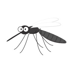 Mosquito cartoon. mosquito vector on white background.